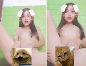 Thỏ nứng hay hấp dẫn thích chơi với cu thật