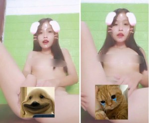 Thỏ nứng hay hấp dẫn thích chơi với cu thật